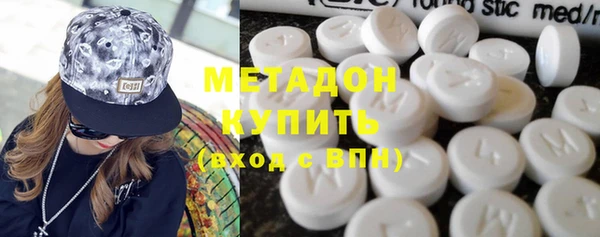 индика Аркадак