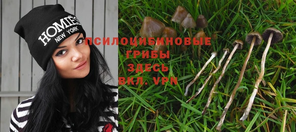 амф Арсеньев