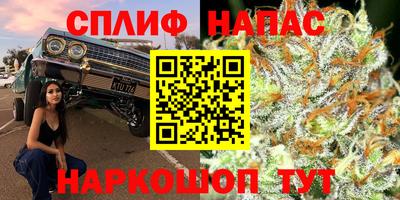 винт Нальчик