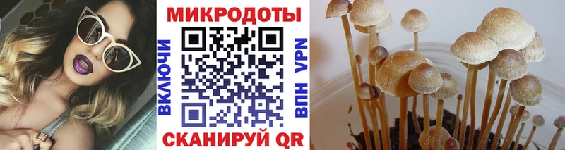 Галлюциногенные грибы Psilocybe  Краснотурьинск 